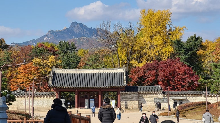 금단헤어샵 이미지