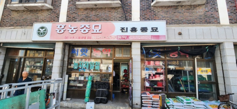 진흥종묘사 이미지