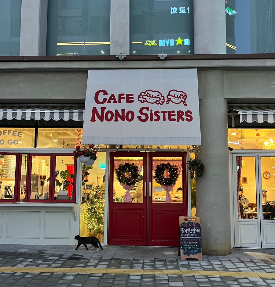 노노씨스터즈 이미지