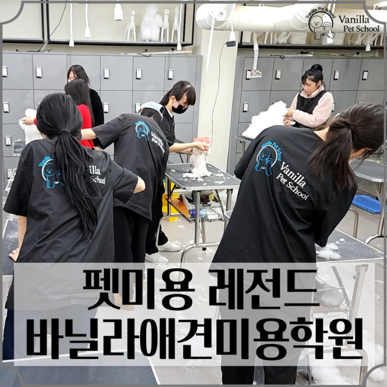 한국직업능력개발학원 이미지