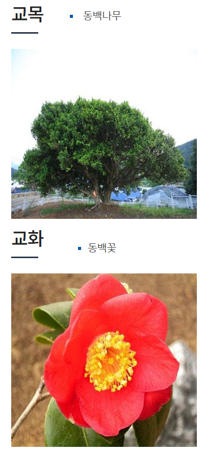 부산혜원학교 이미지
