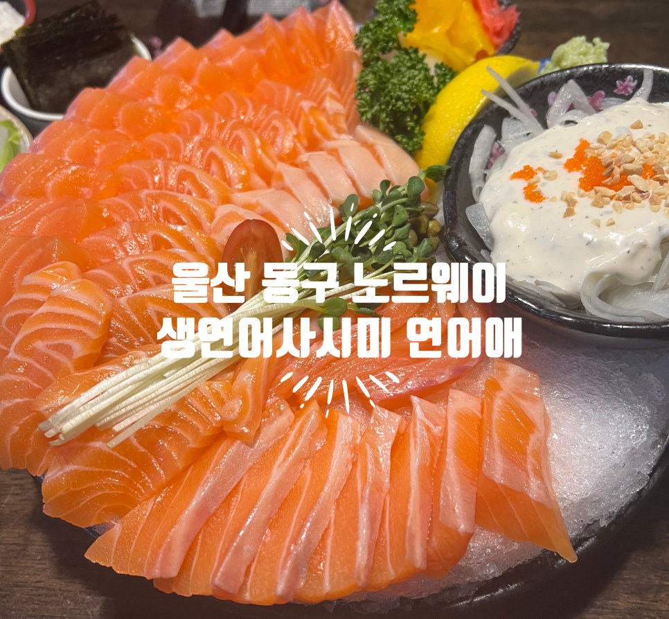 연어애 이미지