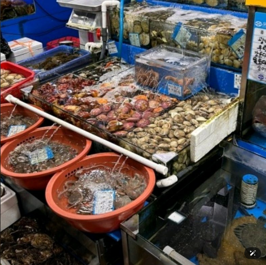 준수산 이미지