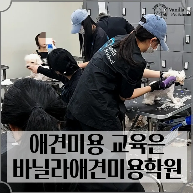 한국직업능력개발학원 이미지