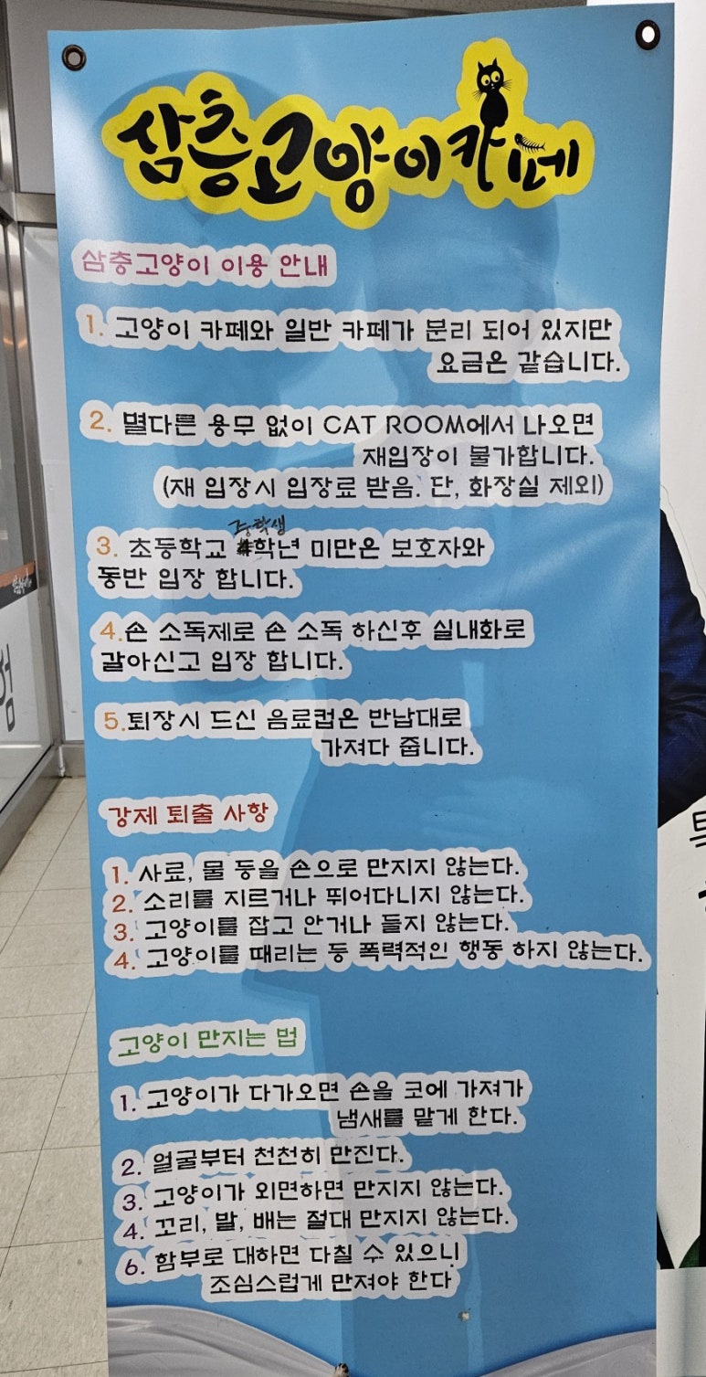 삼층고양이 이미지