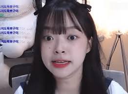 담아내기 이미지