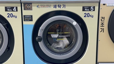 월드크리닝코인월드부산 이미지