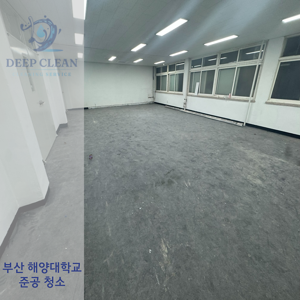 청소반장주 이미지