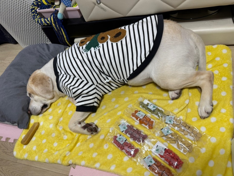 왈랄라 이미지