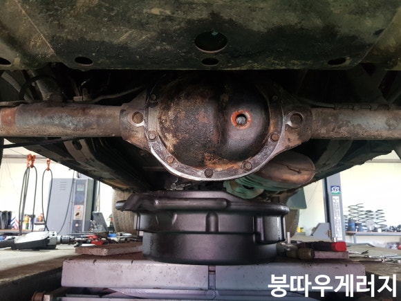붕따우게러지 이미지