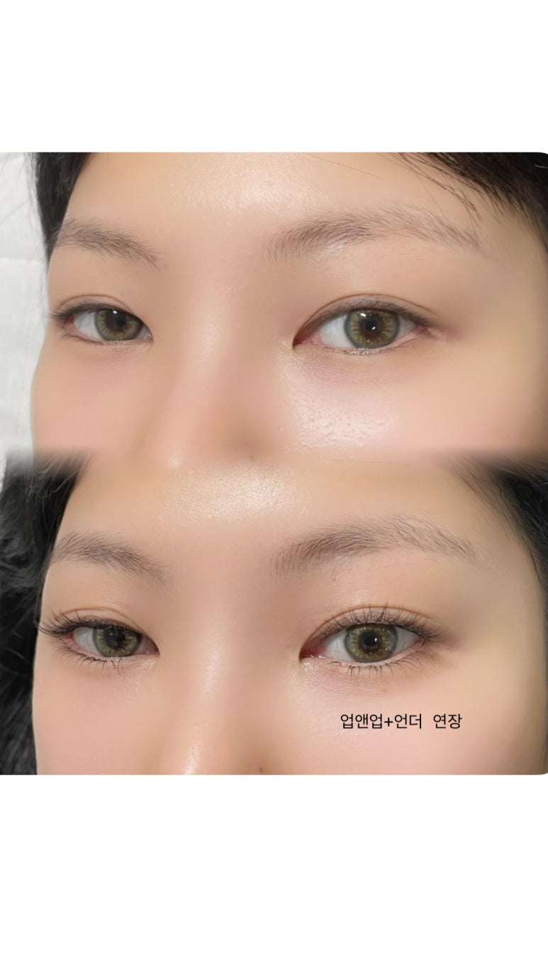 프롬지니 이미지