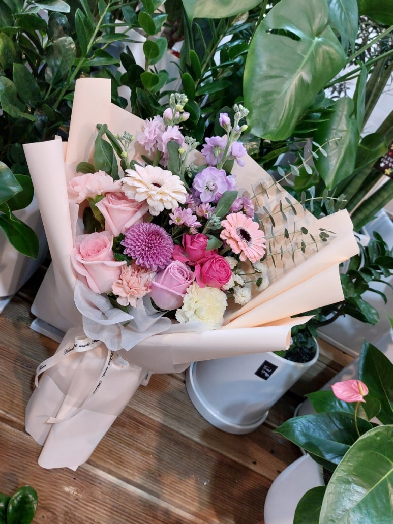 풀림화원 이미지