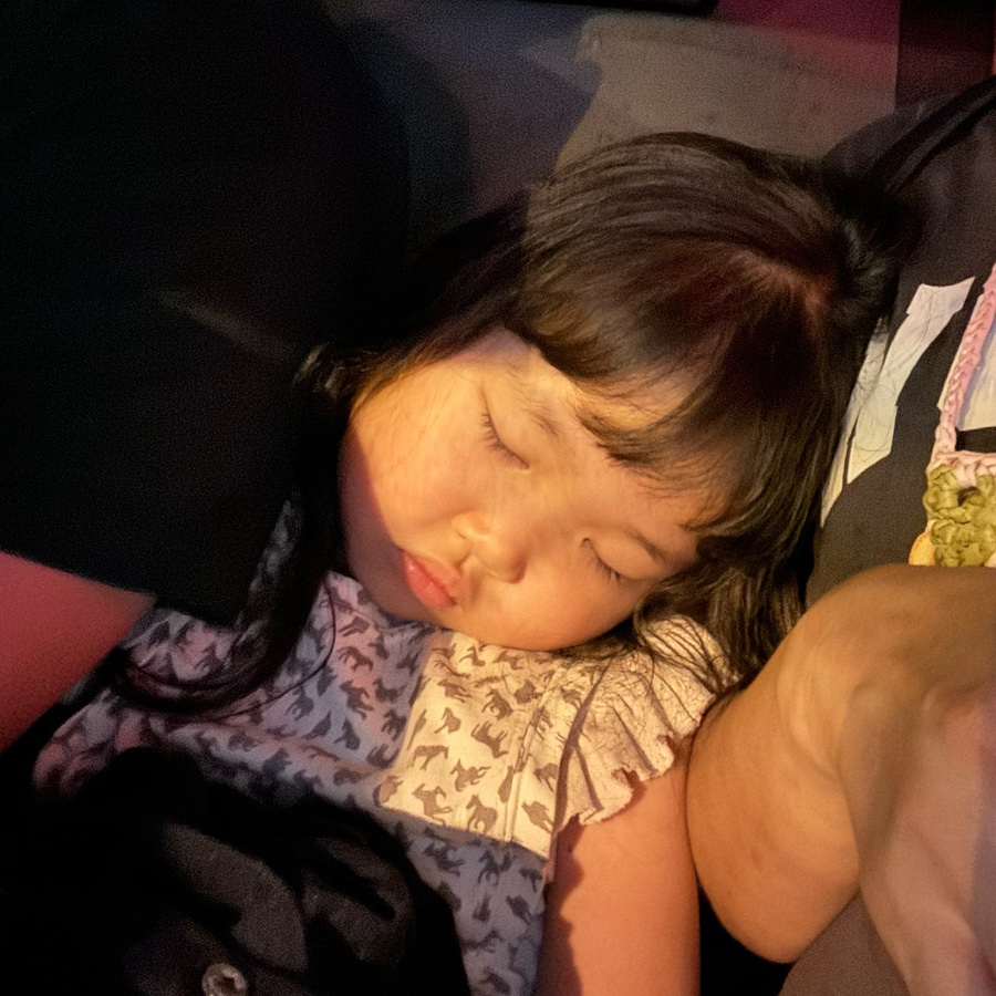 쏘이스트 이미지