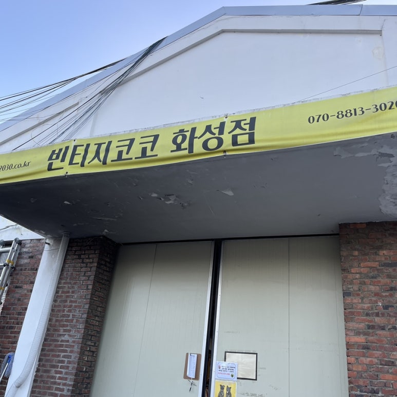 코코구제 이미지