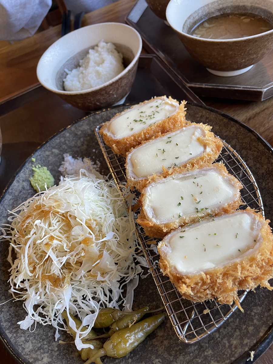 카츠닉 이미지