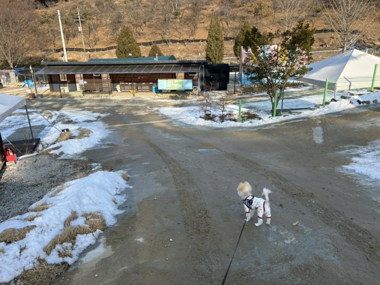 고려산 힐링캠프 이미지
