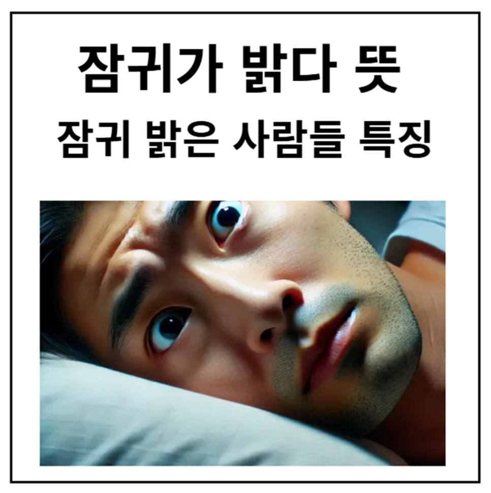 밝은사람들 이미지