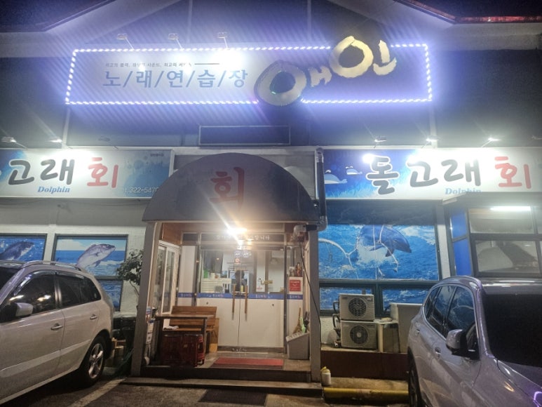 돌고래회 이미지