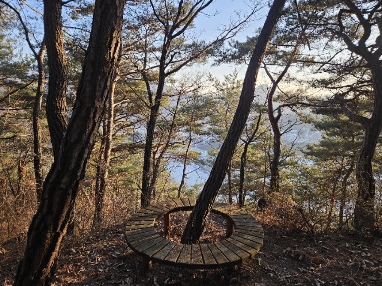 둥지짬뽕 이미지
