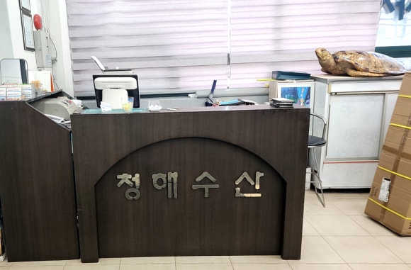 회천국 이미지