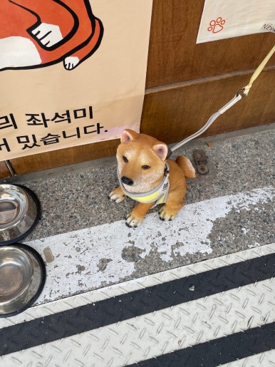 성수 이미지