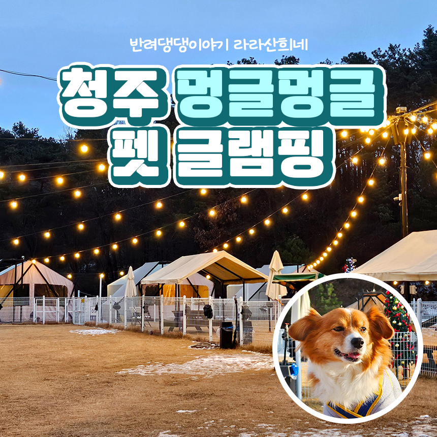 멍글멍글펫글램핑 이미지