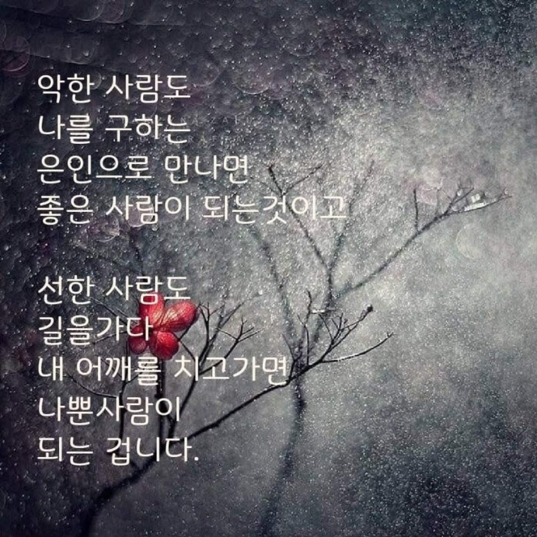 화장실옆집 이미지