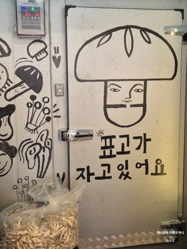 표고버섯선물가게 이미지