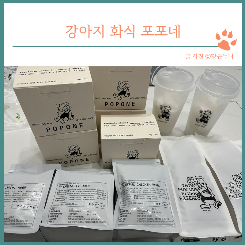 포포네 이미지
