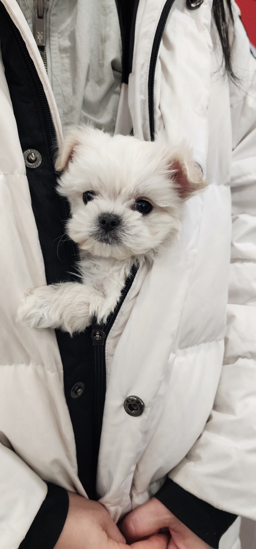 레이업커피 이미지