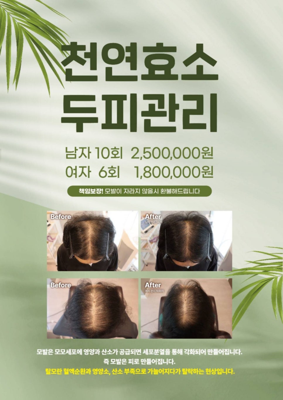마스터상사 이미지