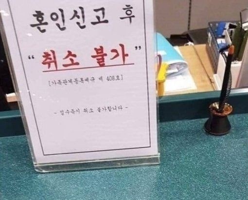 모어매니모어 이미지