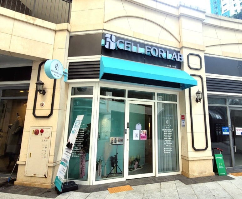 셀포랩스타 이미지