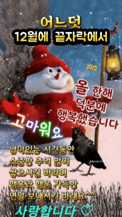 이즈라이프 이미지
