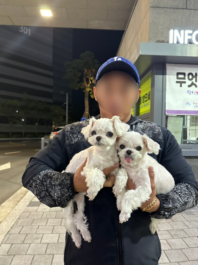 예뿌제 이미지