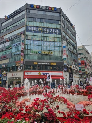 이바른치과교정과치과의원 이미지