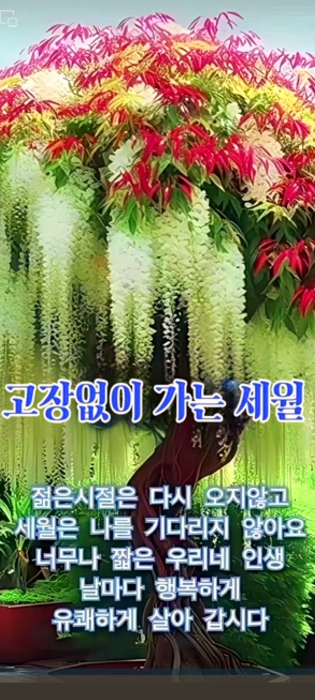 빛과소금 이미지