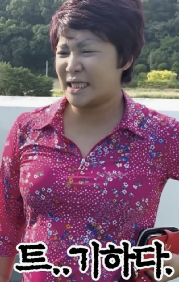 진짜베기 이미지