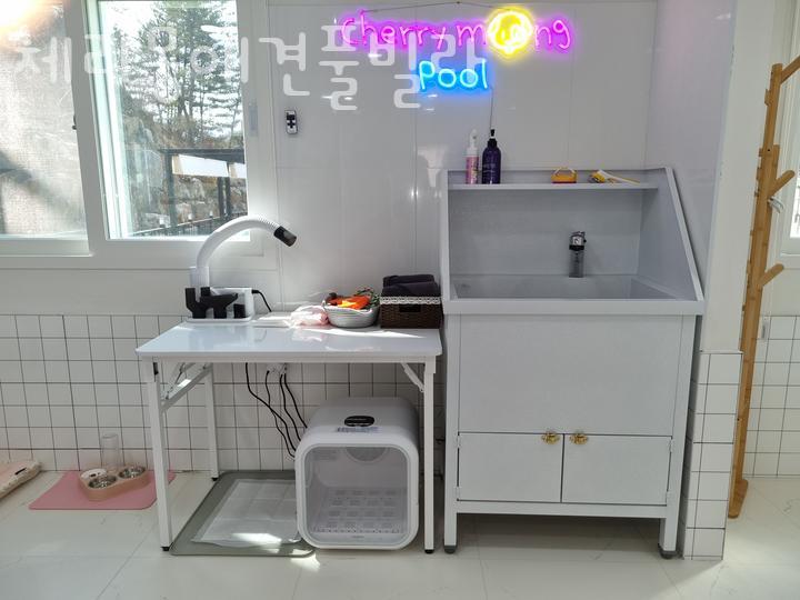 체리몽애견풀빌라 이미지