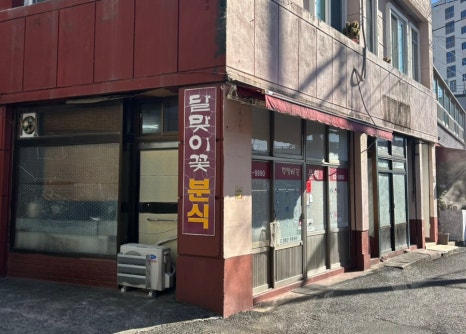 달맞이꽃 분식 이미지