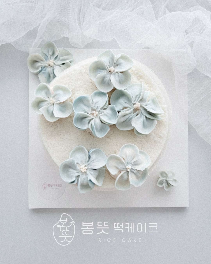 봄뜻 이미지