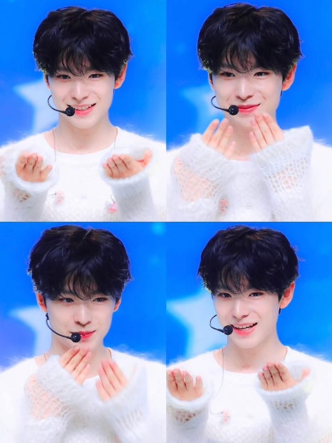 서롤 이미지