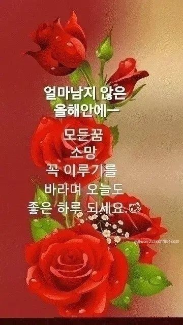 빛과소금 이미지