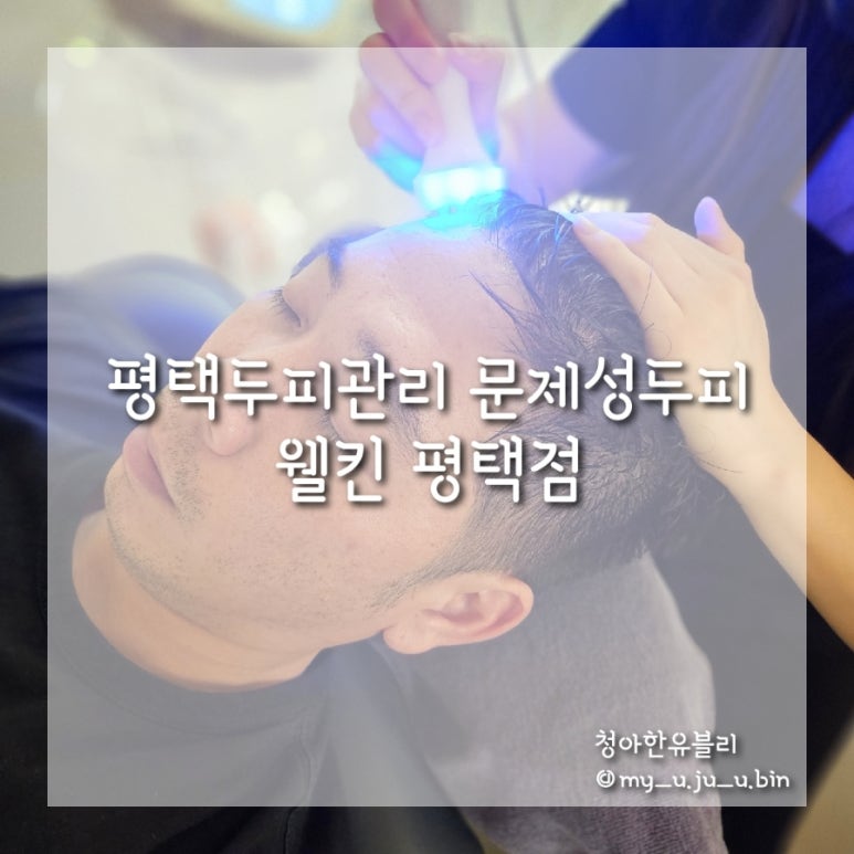 롯데슈퍼평택점 이미지