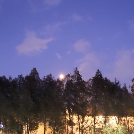 세무법인춘추 이미지