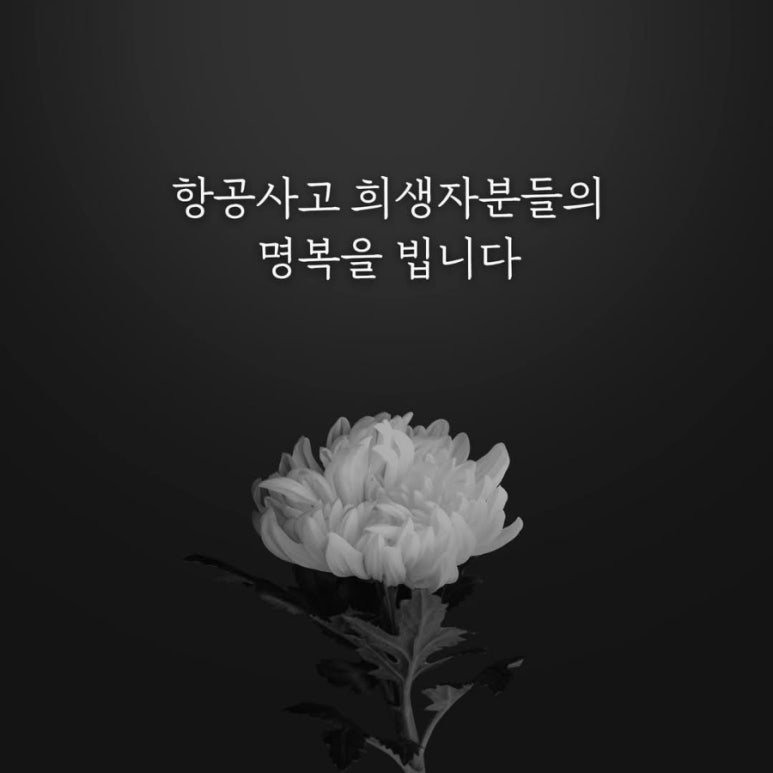 키즈베이파크 이미지