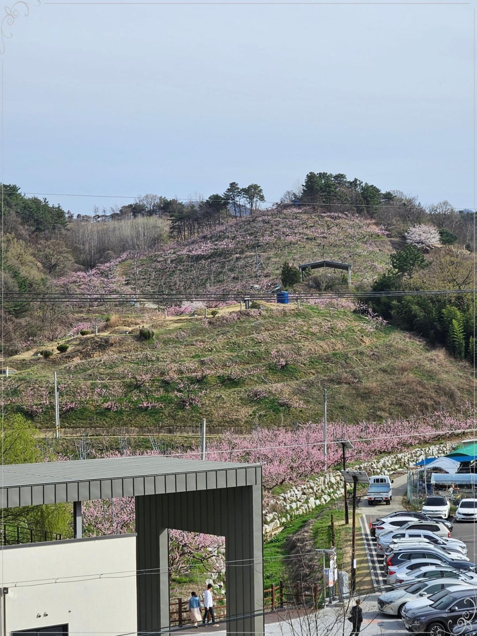 보보그린인테리어 이미지