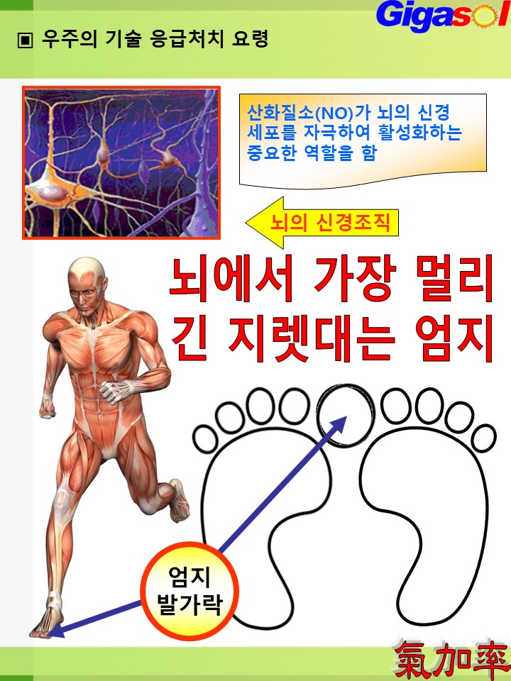 엄지시스템 이미지