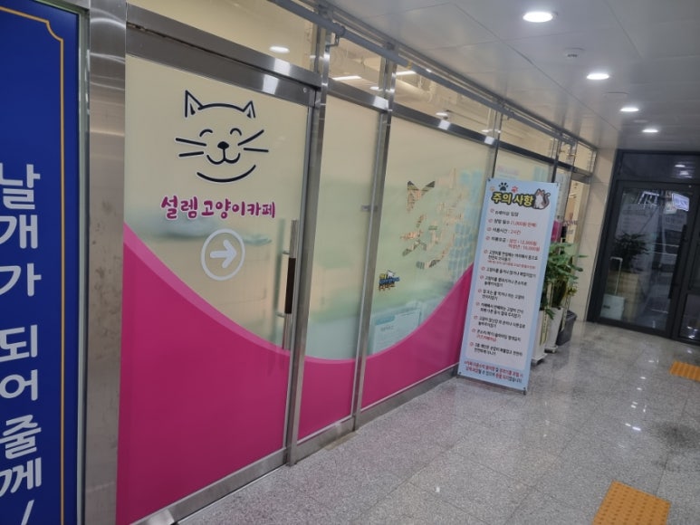 설렘고양이카페 이미지
