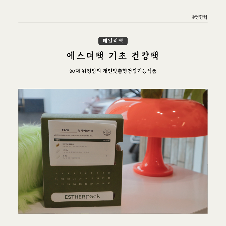 에스더컨설팅 이미지